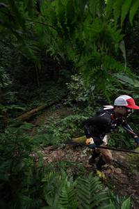 BIB: 
                            <button type="button" onclick="openModal(16029970)" class="btn btn-primary btn-sm float-right btn-popup" data-toggle="modal" data-target=".modal-high-quality">
                        <i class="fas fa-shopping-cart"></i> Add to Cart
                    </button>
                                            <button type="button" onclick="isThisMe(16029970, true)" class="btn btn-success btn-sm float-right btn-popup btn-isme hidden" data-toggle="tooltip" data-placement="bottom" title="นี่คือรูปของคุณใช่ไหม คลิกที่นี่เพื่อเอาเข้าอัลบั้ม">
                        <i class="fas fa-plus"></i> Add to album
                    </button>
                    <button type="button" onclick="isThisMe(16029970, false)" class="btn btn-warning btn-sm float-right btn-popup btn-isnotme hidden">
                        <i class="fas fa-ban"></i> Remove from album
                    </button>